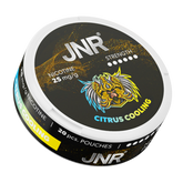 JNR Refrescante Cítrico Bolsas de Nicotina 25mg
